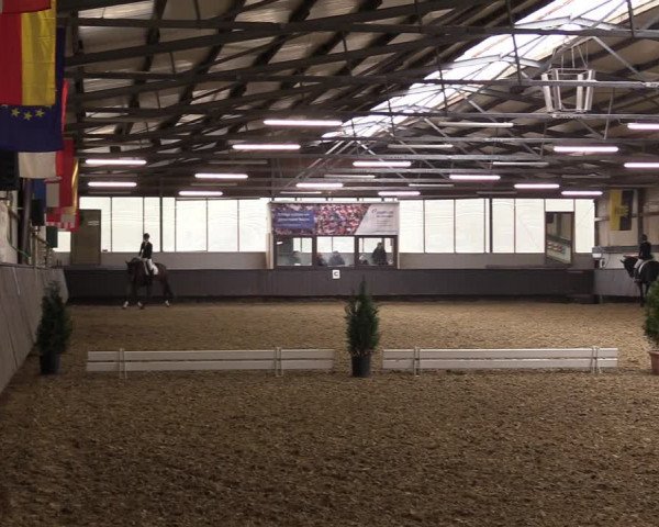 Reitturnier Bochum-Nord 2023