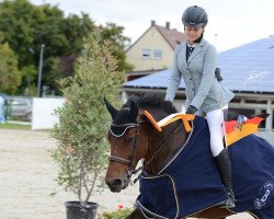 Springpferd Dancing Girl (Französisches Pony, 2013, von Anydale Ron)