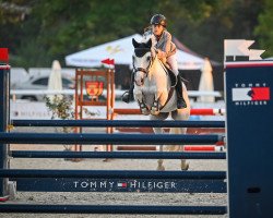 jumper Ecuador Sixty One (French Pony, 2014, from Welcome Sympatico)