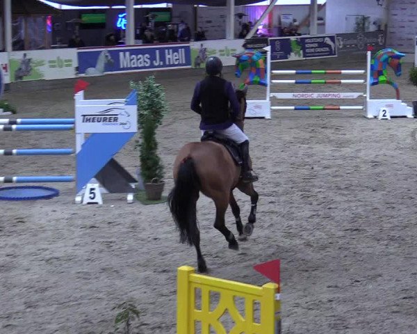 8. Nordic Jumping event Negernbötel 2023