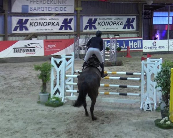 8. Nordic Jumping event Negernbötel 2023