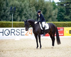 dressage horse Donna Bella Db (Westphalian, 2016, from Dantano)