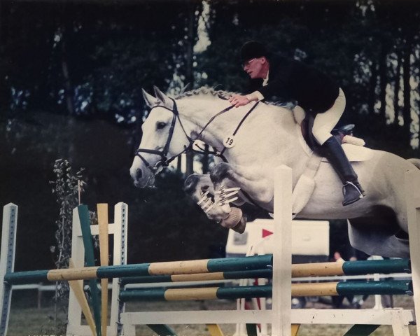 horse Amadeus 83 (Westphalian, 1982, from Apart)