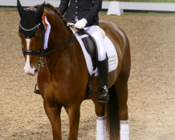 dressage horse Fio Flavour (Westphalian, 2016, from Flavis)