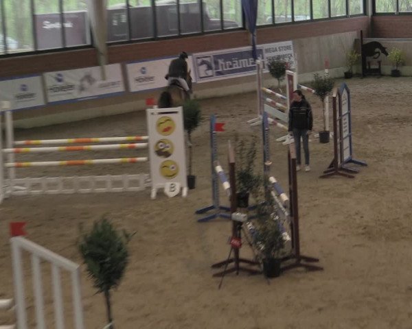 Reitturnier Heiden 2023