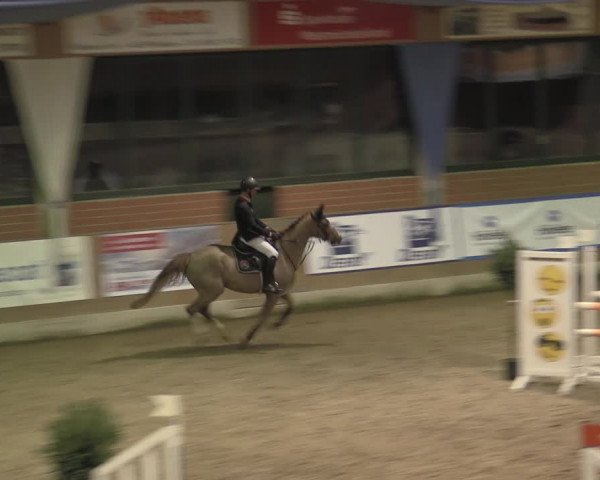 Reitturnier Heiden 2023