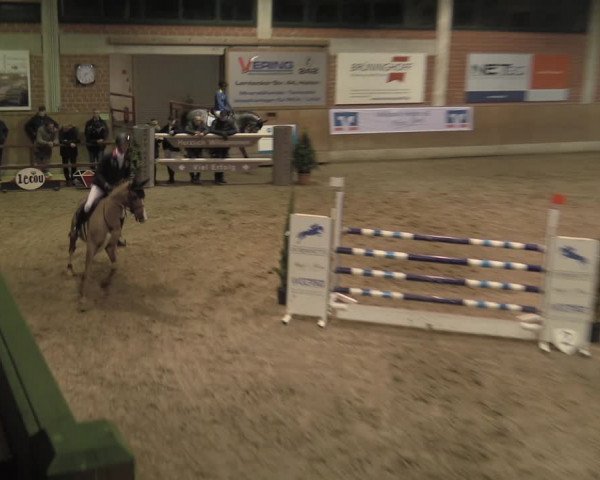 Reitturnier Heiden 2023
