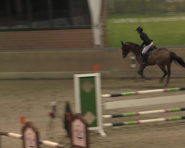 Reitturnier Heiden 2023