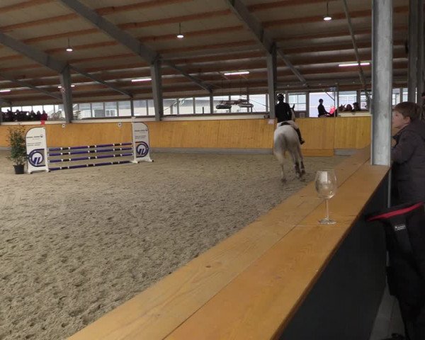 Reitturnier Münster-Amelsbüren 2023