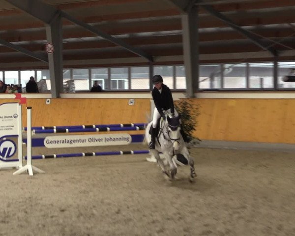 Reitturnier Münster-Amelsbüren 2023