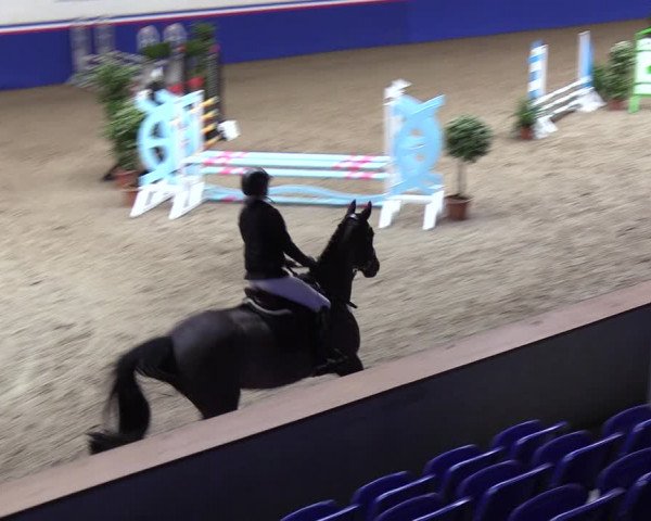 Reitturnier Elmshorn 2023