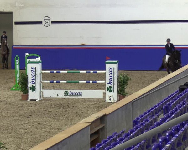 Reitturnier Elmshorn 2023