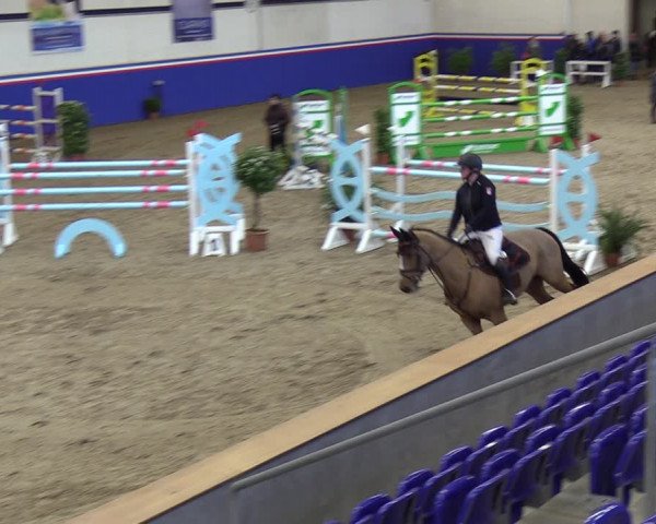 Reitturnier Elmshorn 2023
