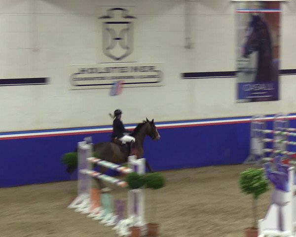 Reitturnier Elmshorn 2023
