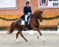 dressage horse Kom Cinderella (Finnish Warmblood, 2010, from De Niro)