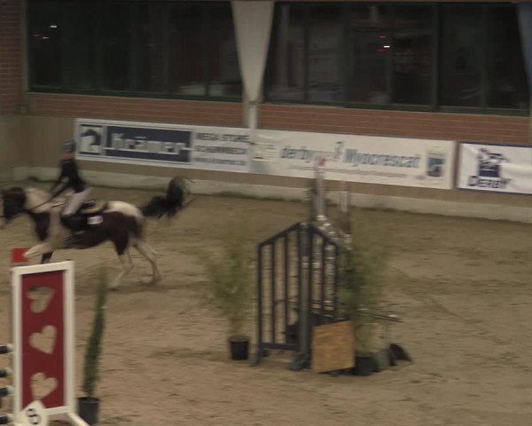 Reitturnier Heiden 2023