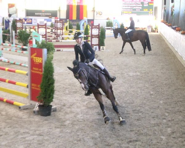 Reitturnier Karlsfeld/Obb. 2021