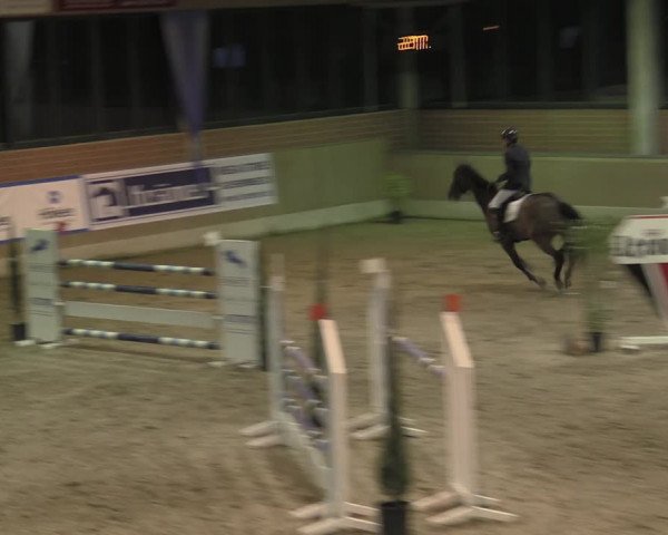 Reitturnier Heiden 2023