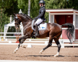 Deckhengst Reitland's Du nur Du B (Deutsches Reitpony, 2006, von Diamond)