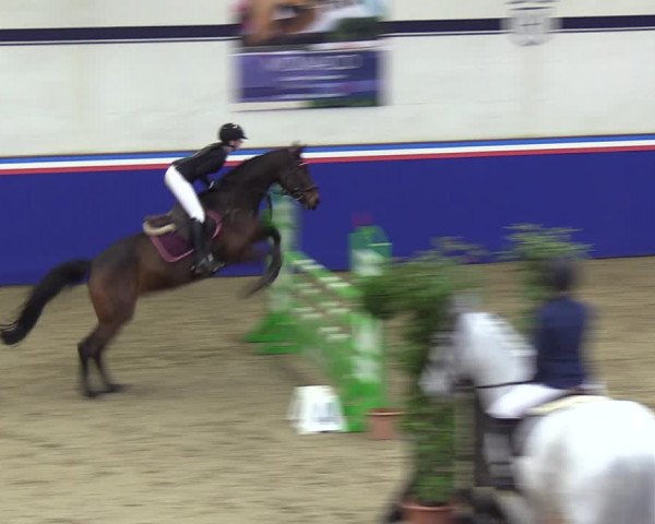 Reitturnier Elmshorn 2023