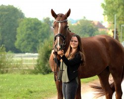 dressage horse Fleur d'amour 19 (Hanoverian, 2017, from Finnigan)