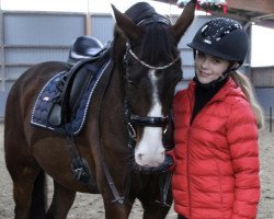 dressage horse Don Alfredo 27 (Rhinelander, 2017, from Don Romanov)