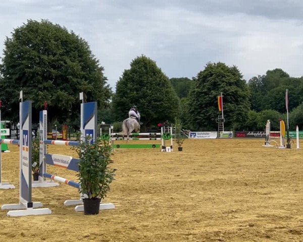 Video of Silver Creek's Validation Jun.