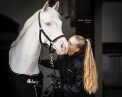 broodmare Wert's Snowflake (German Riding Pony, 2015, from Casino Royale K WE)