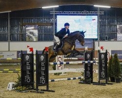 jumper Valegro 14 (Oldenburg show jumper, 2016, from Vivant)