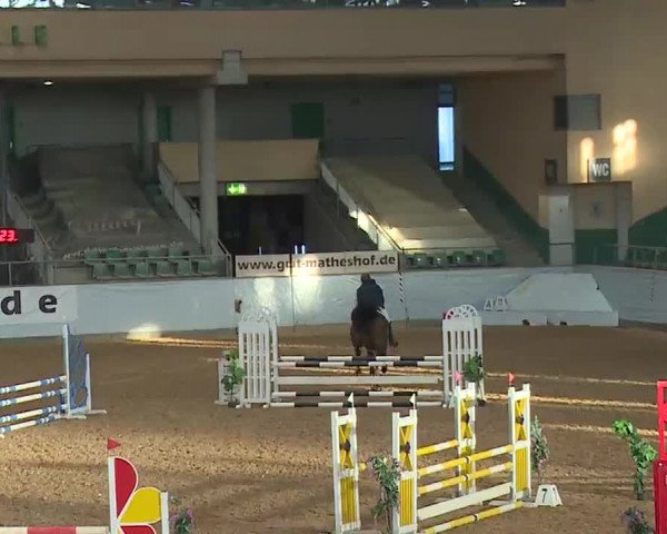 Reitturnier Kreuth 2023