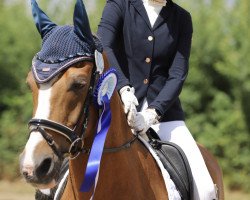 dressage horse Lanier 2 (German Riding Pony, 2001, from Lateran)