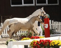 Zuchtstute Moon FLower (Deutsches Reitpony, 2011, von Garfield)