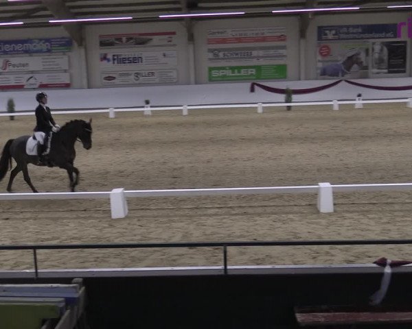 Reitturnier Borken 2023