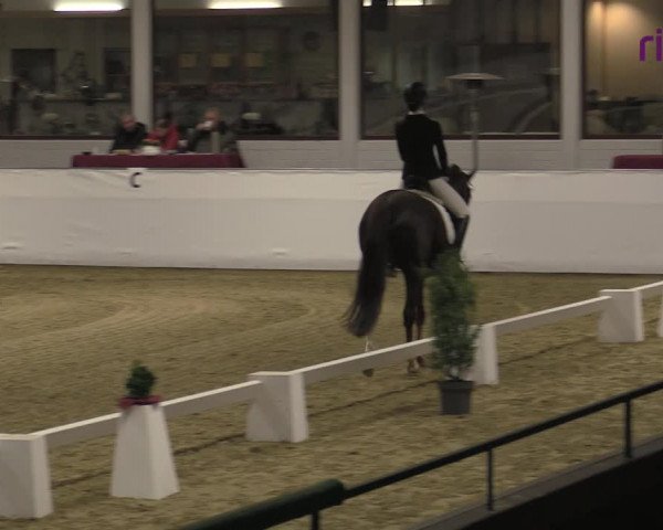 Reitturnier Borken 2023