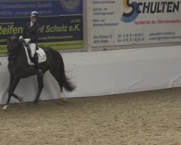 Reitturnier Borken 2023