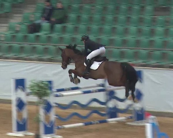 Reitturnier Kreuth 2023