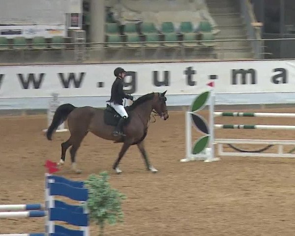 Reitturnier Kreuth 2023