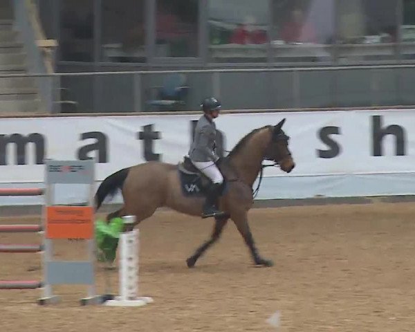 Reitturnier Kreuth 2023
