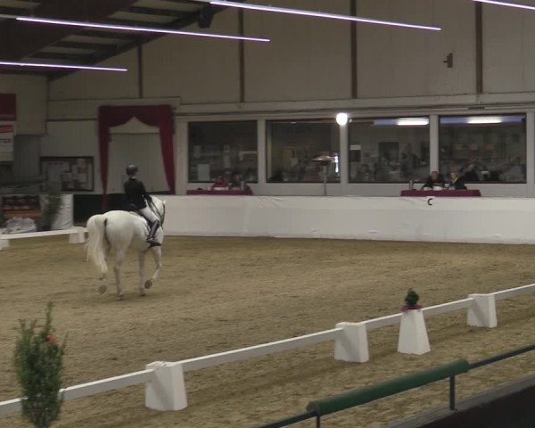 Reitturnier Borken 2023