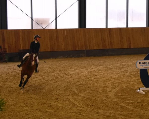 Reitturnier Zwickau 2023