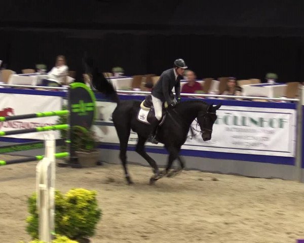 FEI Reitturnier Neumünster (GER) 2021