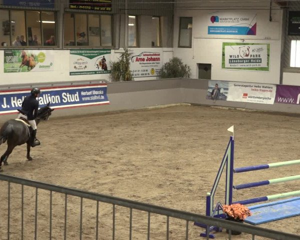 Reitturnier Luhmühlen 2023