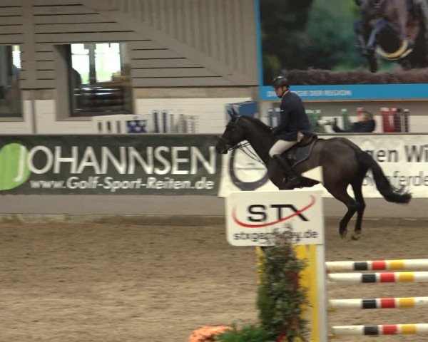 Reitturnier Luhmühlen 2023