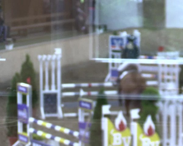 Reitturnier Hövelhof 2021