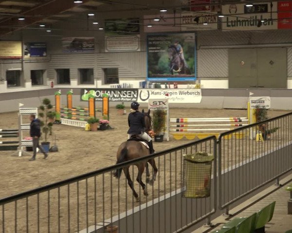 Reitturnier Luhmühlen 2023