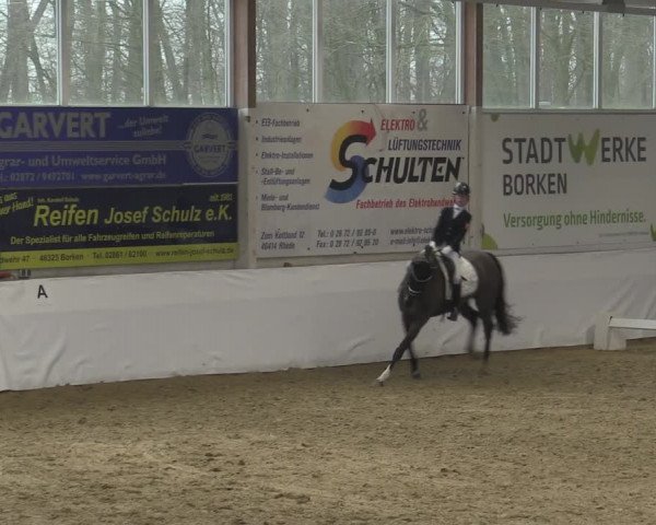 Reitturnier Borken 2023