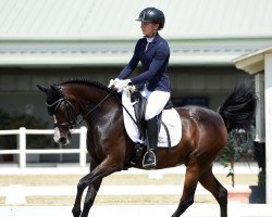 dressage horse Psyches Nyara 2009 ox (Vollblutaraber, 2009, from BA Psyche Bey ox)