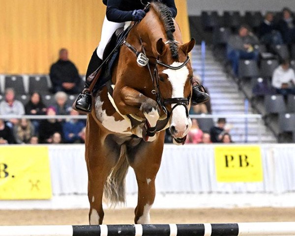stallion Esmeraldo FM (Holsteiner, 2019, from Emerald van 't Ruytershof)