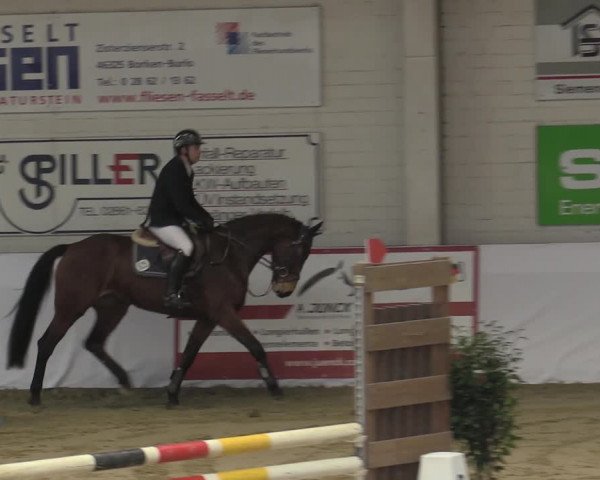 Reitturnier Borken 2023