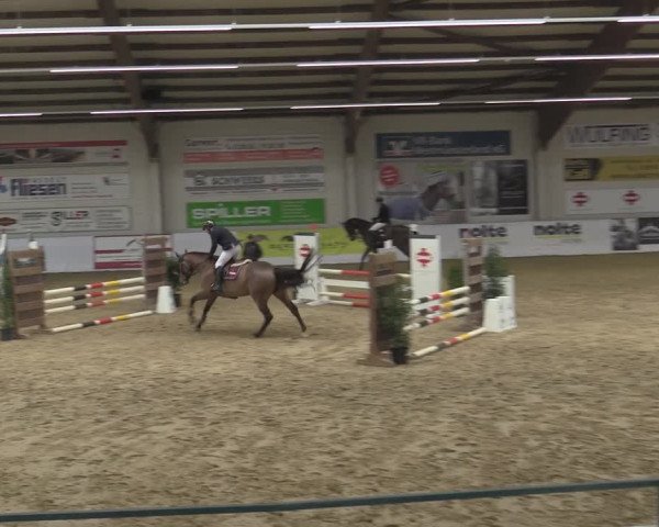 Reitturnier Borken 2023